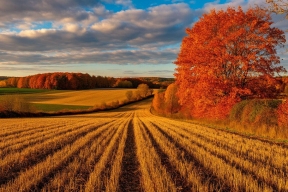 Калининградский аграрий наказан рублем за нарушение правил химической обработки полей