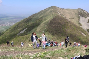 Ставрополье вошло в топ регионов по сбору турналога в 2025 году