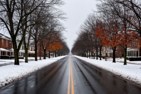 Погода в Новгородской области: мокрый снег и гололедица 17-19 ноября