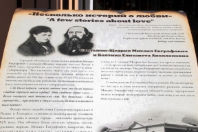 Рязанская область готовится отметить 200-летие Салтыкова-Щедрина
