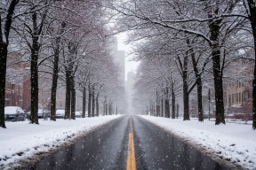 Март не обрадует теплом: синоптики рассказали, когда в Волгоград придет настоящая весна