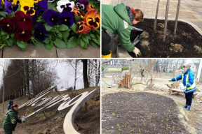 В г.о. Истра к летнему сезону подготовят 244 тысячи цветников