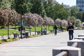 Мэр Новосибирска Максим Кудрявцев: Более 80 тысяч жителей уже приняли участие во Всероссийской онлайн-голосовании за благоустройство территорий на 2027 год