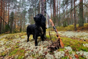 В Зарайске определили сроки весеннего сезона охоты на пернатую дичь