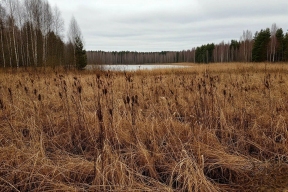 Совет Федерации поддержал включение опасного объекта под Пензой в проект «Генеральная уборка»