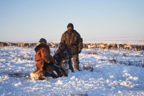 Власти Чукотки поддержат подготовку кадров для оленеводства в рамках нацпроекта