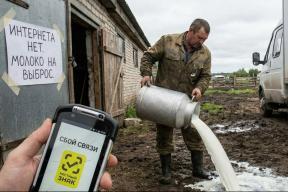 Интернет пропал — молоко на свалку: как фермеры теряют бизнес из-за «Честного знака»