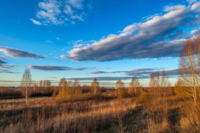 Редкие серебристые облака заметили в небе над Тульской областью