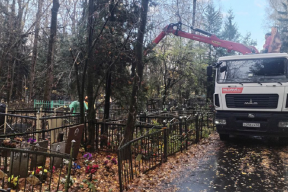 На коломенском кладбище уберут потенциально опасные деревья и займутся благоустройством территории