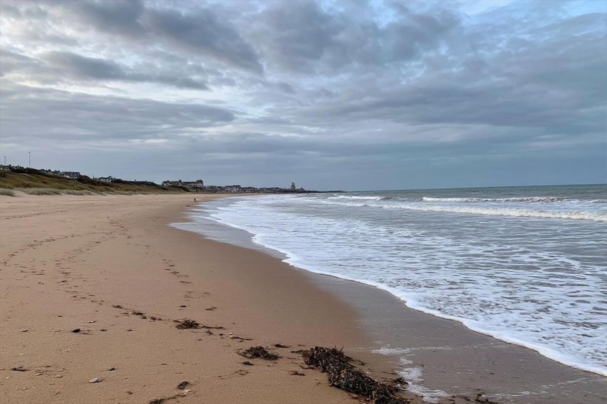 4 ноги, копыта и шерсть: на пляже в Британии нашли останки загадочного существа