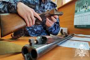 В 2025 году 650 жителей Тамбовской области наказали за нарушения правил хранения оружия
