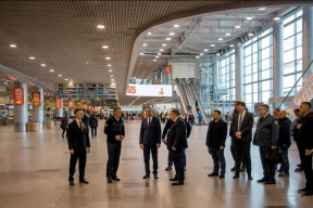 В Домодедово отменено 29 рейсов, но обстановка остается стабильной