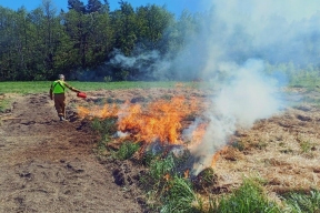 Особый противопожарный режим в Омской области планируют ввести с 10 апреля