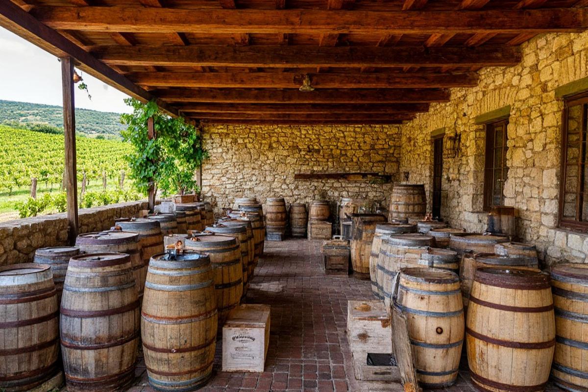 «Санкции пошли на пользу»: Россия собрала рекордный урожай винограда, а импорт вина рухнул вдвое