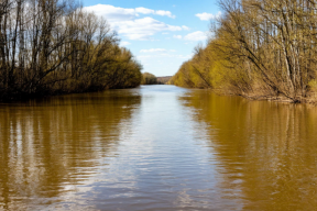 В Калужской области фиксируют резкий подъем воды в реках Ока и Протва