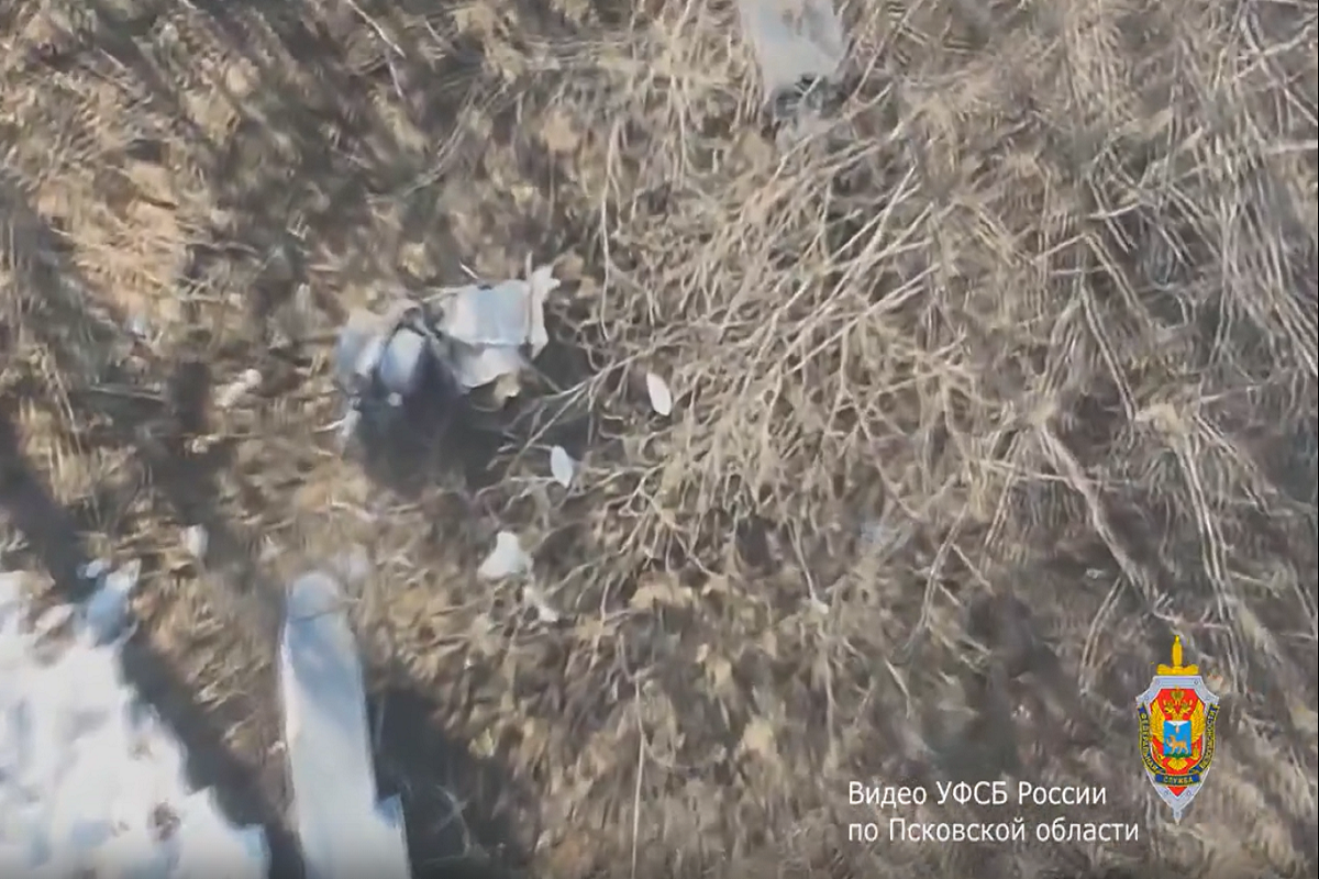Украинский БПЛА с боевой частью обнаружили и уничтожили в Псковской области