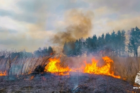 Спасатели напомнили жителям Псковской области об опасности тушения травы