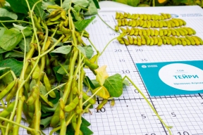 «Щёлково Агрохим» запускает совместный проект с китайскими селекционерами