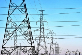 Special protective devices are being used to protect birds in the Leningrad Region