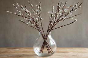 Духовный смысл вербы: что на самом деле значит этот символ?