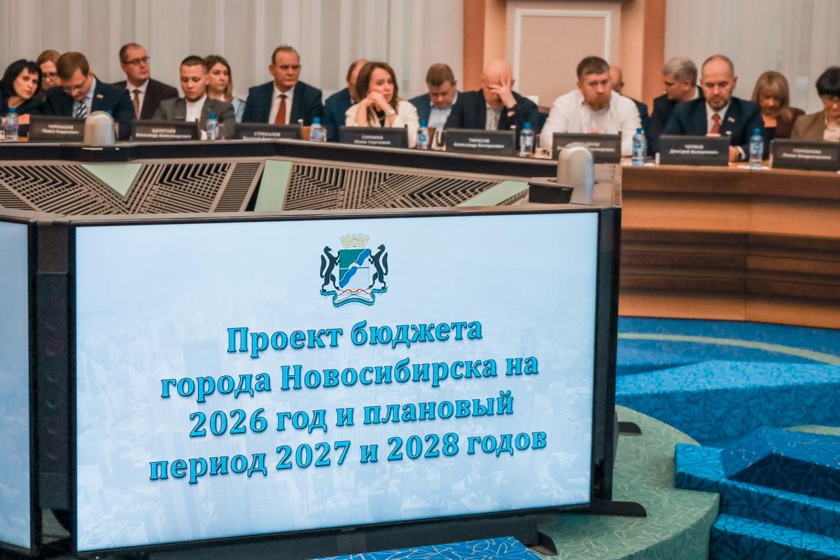 Социальные приоритеты в фокусе внимания: депутаты приняли бюджет Новосибирска в первом чтении