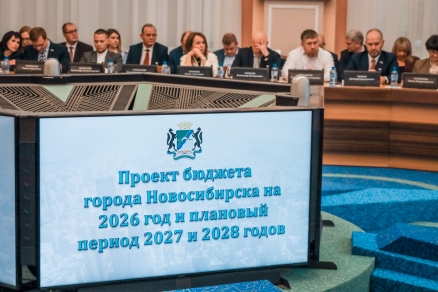 Социальные приоритеты в фокусе внимания: депутаты приняли бюджет Новосибирска в первом чтении