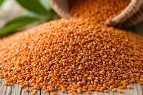 Более 20 тонн премикса было отправлено из Волгоградской области в Грузию в январе